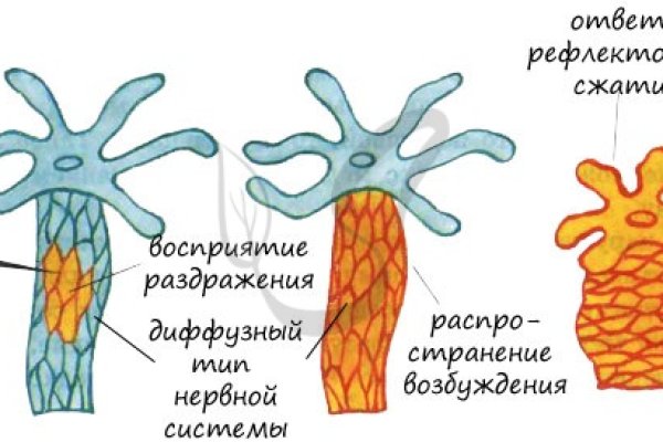 Как вывести с кракена