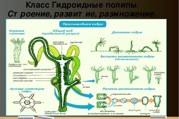 Кракен маркетплейс kr2web in площадка торговая